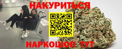 прущие грибы Дубна