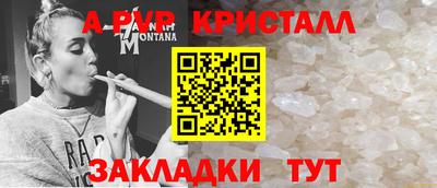 прущие грибы Дубна