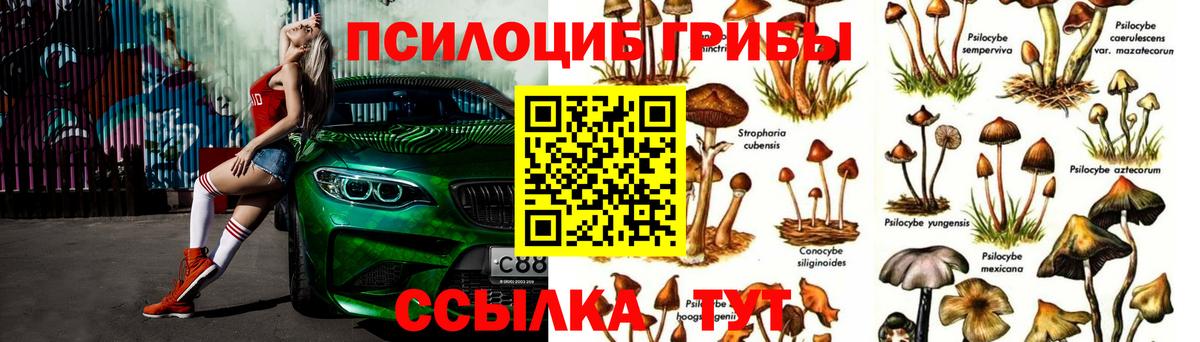 Галлюциногенные грибы мицелий Зерноград
